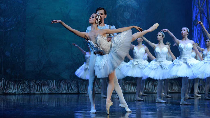 concurso-lago-los-cisnes
